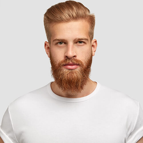 Greffe de barbe Tarifs 2021